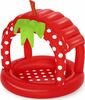 Täispuhutav bassein Bestway Strawberry 52387, 91x91 cm