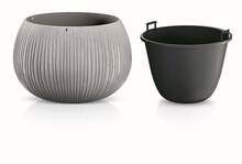 Lillepott Prosperplast Beton Bowl DKB290-422U, hall, 29 x 20 cm