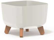 Lillepott Prosperplast Gracia Square, DGQL240-S449, valge