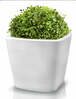 Keraamiline lillepott Mood, 33 cm
