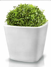 Keraamiline lillepott Mood, 33 cm