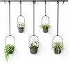 Riputatavate lillepottide komplekt Umbra Triflora, 5 tk, must