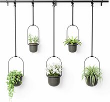 Riputatavate lillepottide komplekt Umbra Triflora, 5 tk, must
