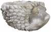 Lillepott Home4you Hedgehog, 20 x 15 cm, betoon, hall