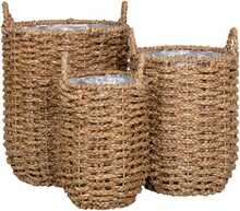 Lillepoti kate House Nordic Hue, 49 cm, mererohi, beež, 3 tk