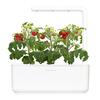 Nutikas siseruumide aed Click & Grow Smart Indoor Garden 3, valge