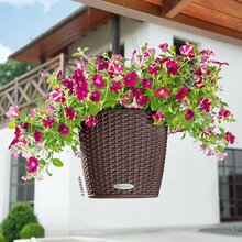 Riputatav lillepott Lechuza Nido Cottage 28, moka, läbimõõt 27 cm