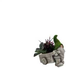 Dekoratiivne lillepott Garden Center Nykštukas QN2302010R, 15.5 x 26 x 27 cm, roheline/hall