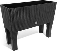 Lillepott Prosperplast Rato Case High DRTC600H, 60 x 25 x 46 cm, antratsiit