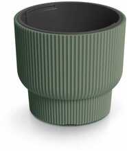 Lillepott Prosperplast Milly DBMLR400-2411U, 39,5 x 39,5 x 35 cm, roheline mänd