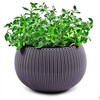 Riputatav lillepott Keter Cozy M, lilla, 36 cm