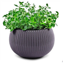 Riputatav lillepott Keter Cozy M, lilla, 36 cm