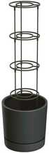 Lillepott Prosperplast, 35 L, antratsiit