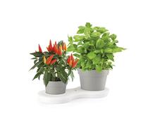 Lillepotikomplekt Nicoli Deco, 2 tk, veereservuaariga, 12.5 cm