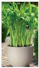 Lillepott Form Plastic Round 2731, plastik, 35 cm, pruun