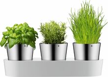 Vaaside komplekt WMF Gourmet, 3 tk, roostevaba teras
