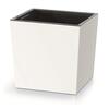 Lillepott Prosperplast URBI SQUARE LOW, valge