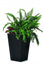 Lillepott Keter Rattan Planter S, 23,6 L, hall