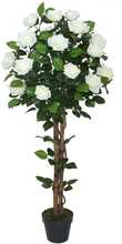 Kunsttaim Home4You ROSE TREE, 120 cm, 2 tüvega, must pott