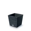 Lillepott Prosperplast Furu Square Low, 10/7,5 l, antratsiit