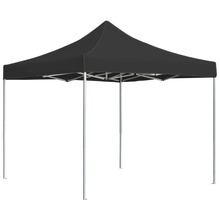 Kokkupandav peotelk vidaXL, 2x2 m, antratsiit, alumiinium