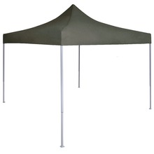 Kokkupandav peotelk vidaXL, 2x2 m, antratsiit, teras