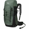 Laste matkakott Jack Wolfskin Peak Hiker, 28 L, hedge green