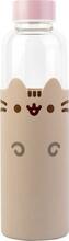 Pudel Grupo Erik Pusheen klaasist, 500 ml