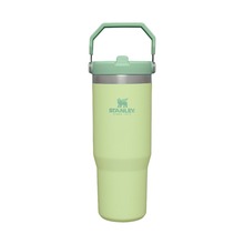 Joogipudel Stanley The IceFlow Flip Straw Tumbler, roheline, 0.89 l