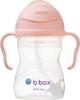 Lekkekindel joogipudel B.BOX Gelato Tutti Frutti BB00521, 240 ml