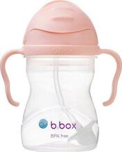 Lekkekindel joogipudel B.BOX Gelato Tutti Frutti BB00521, 240 ml