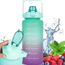 Gertuv Extralink Motivational Bottle BUT-190, roheline-lilla, 2000 ml