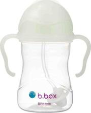 Joogipudel B.BOX Glow in the dark, 240 ml