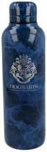 Termopudel Harry Potter, 515 ml