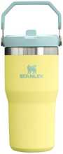 Termokruus Stanley IceFlow Flip Straw 0.6 l, pomelokollakas-roheline