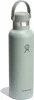 Termopudel Hydro Flask Standard Flex Cap, Agave, 621 ml
