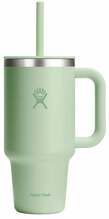 Termokruus Hydro Flask All Around Aloe, 946 ml