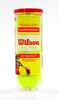 Tennisepallid Wilson Championship Extra Duty, 3 tk