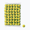 Laste tennisepallid Wilson Starter Orange, kollane/oranž, 48 tk