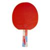 Lauatennise reket Insportline Shootfair S7