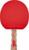 Lauatennise reket Insportline Shootfair S4