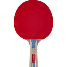 Lauatennise reket Insportline Shootfair S6