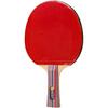 Lauatennise reket Best Sporting Training, punane