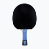 Lauatennise reket Tibhar Pro Blue Edition