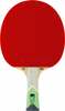 Lauatennise reket Tibhar XXX Green Edition S5 ITTF