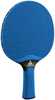 Lauatennise reket JOOLA Vivid Outdoor, sinine