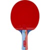 Lauatennise reket Insportline Shootfair S5