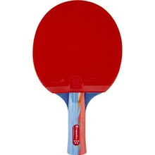 Lauatennise reket Insportline Shootfair S5