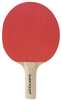 Lauatennisereket Dunlop BT10