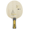Lauatennise reket JOOLA Tezzo Paladin, ST